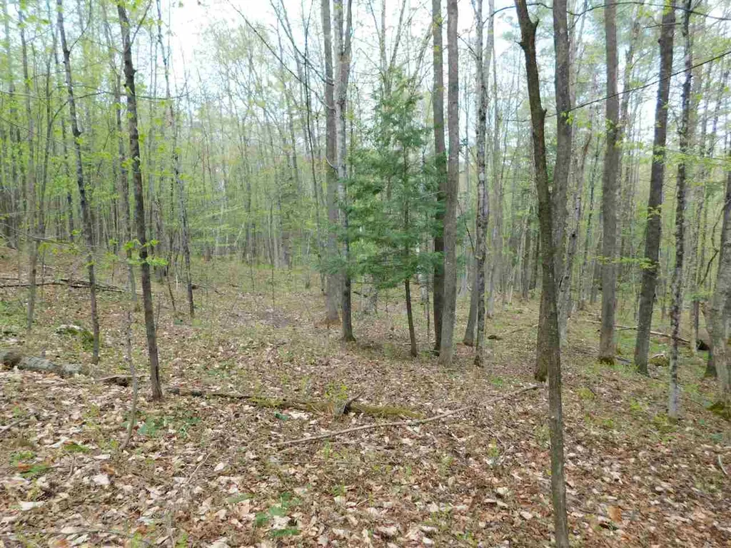 410 Leon's Lane Sharon VT 05065