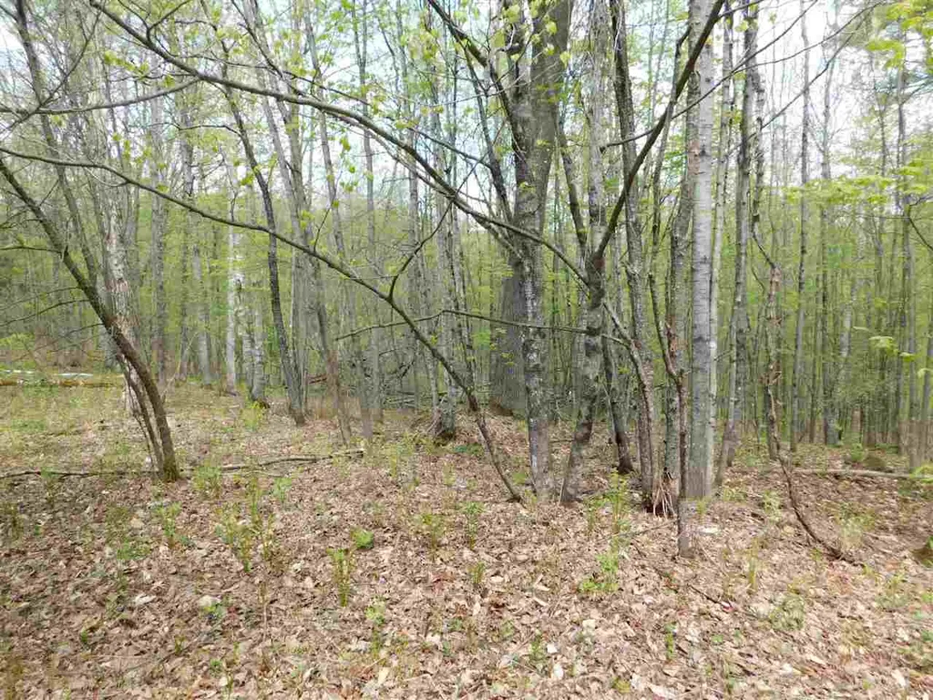 410 Leon's Lane Sharon VT 05065
