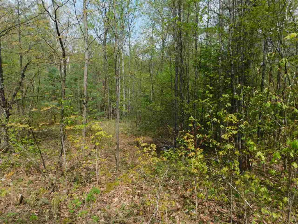 410 Leon's Lane Sharon VT 05065