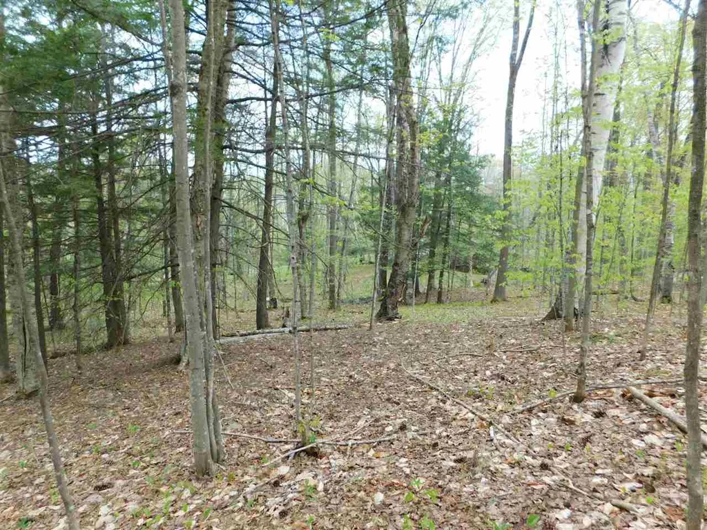 410 Leon's Lane Sharon VT 05065