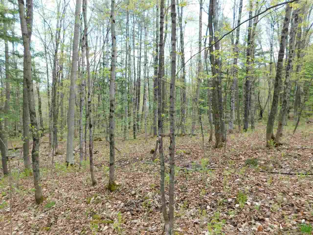 410 Leon's Lane Sharon VT 05065
