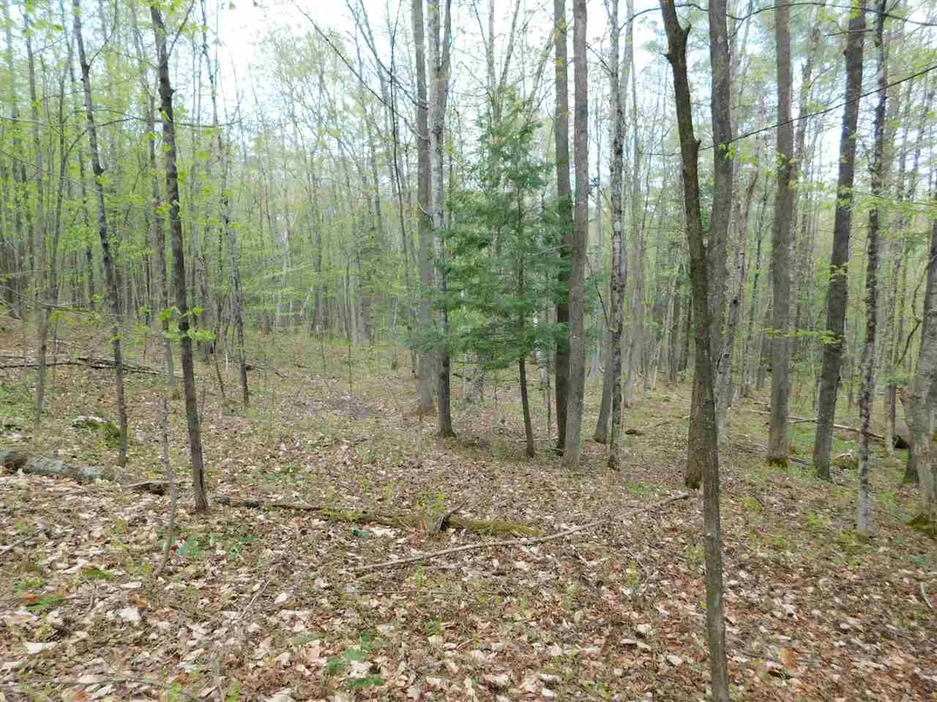410 Leon's Lane Sharon VT 05065