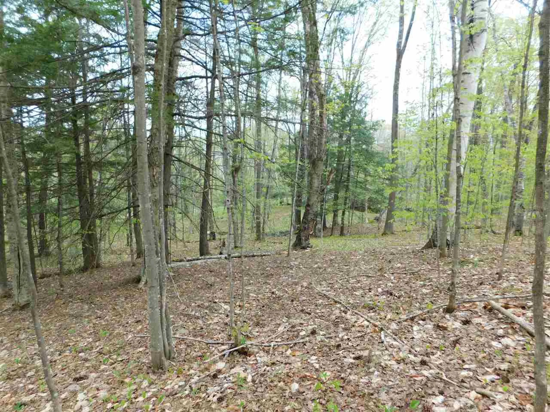 410 Leon's Lane Sharon VT 05065