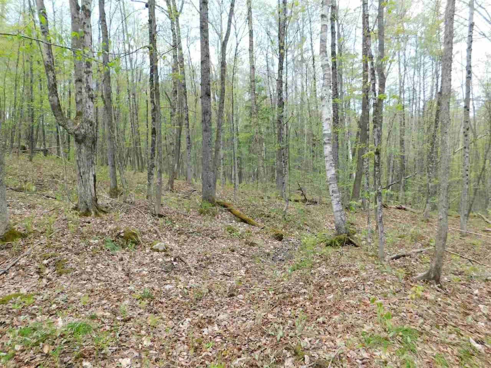 410 Leon's Lane Sharon VT 05065