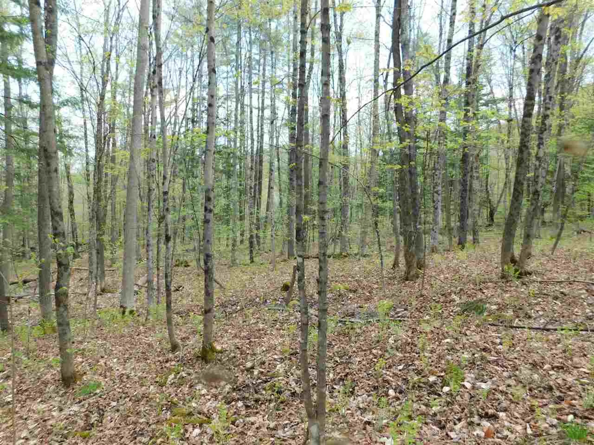 410 Leon's Lane Sharon VT 05065