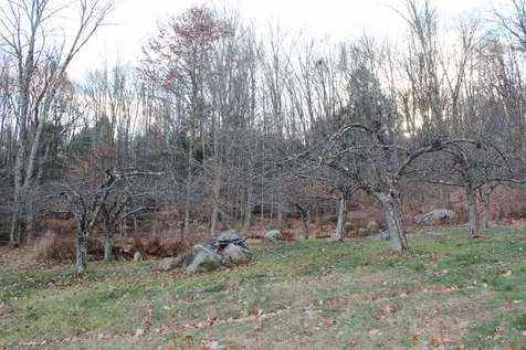 268 Maple Ridge Road Chester VT 05143