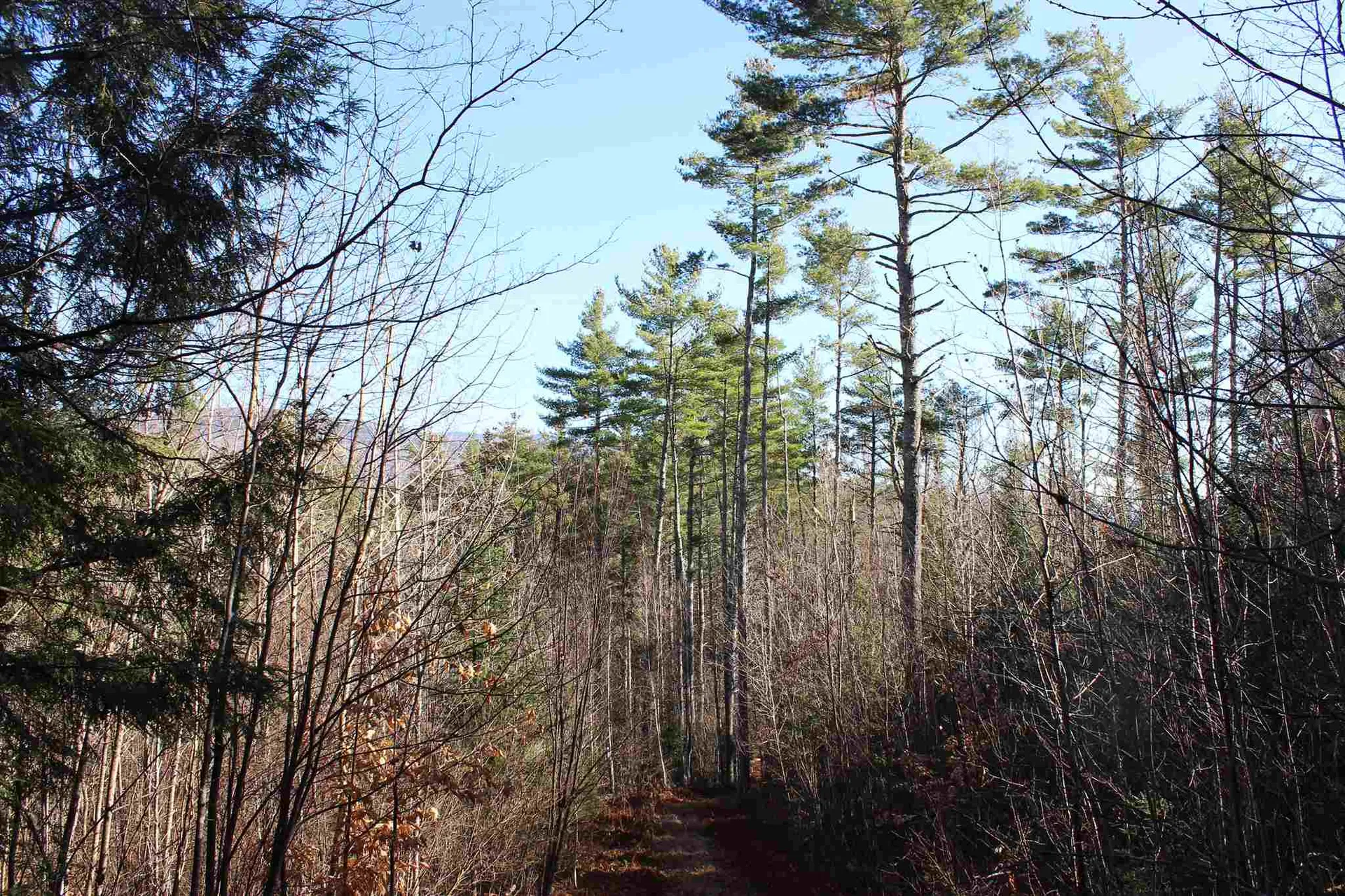 0 Lime Kiln Road Haverhill NH 03765
