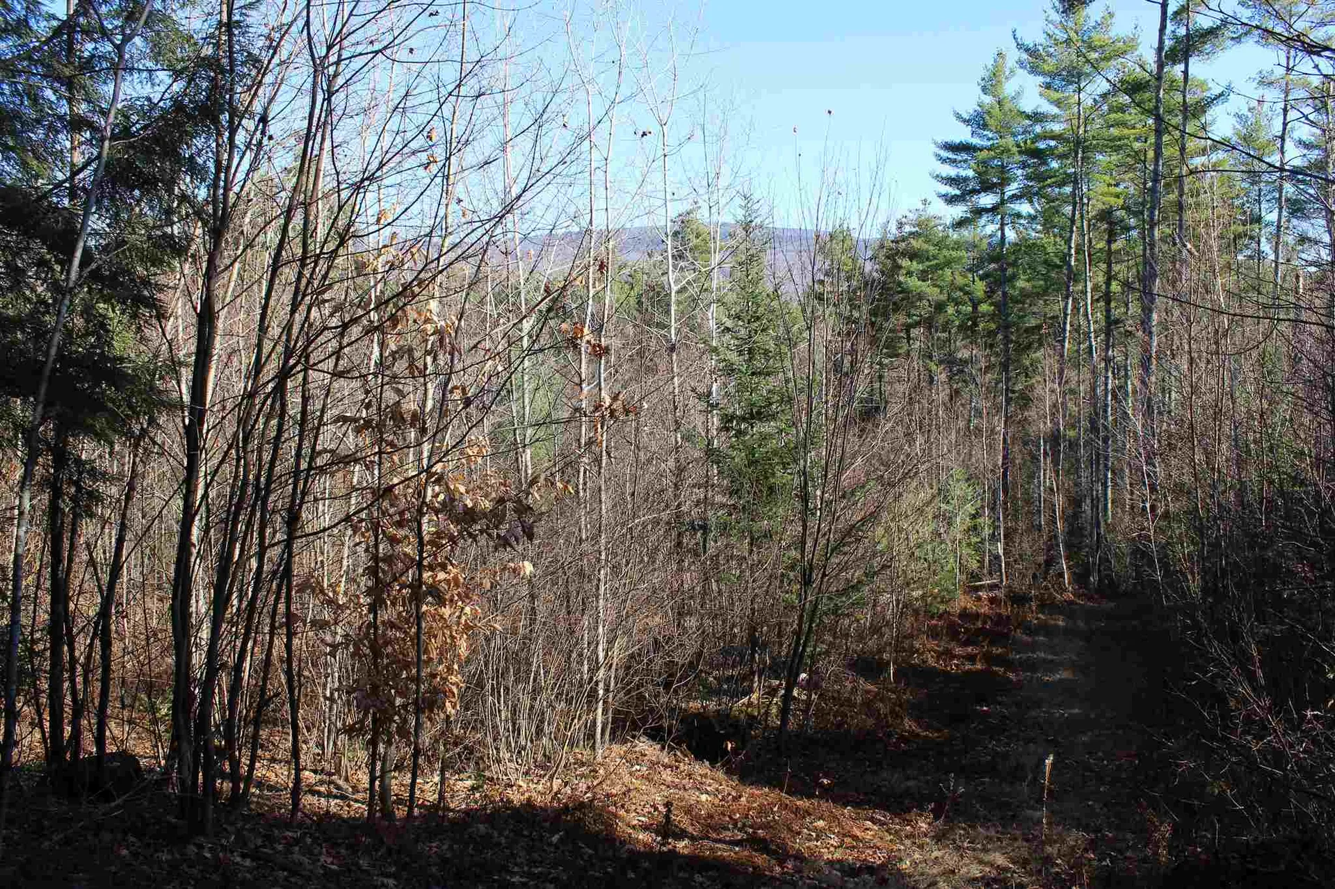 0 Lime Kiln Road Haverhill NH 03765
