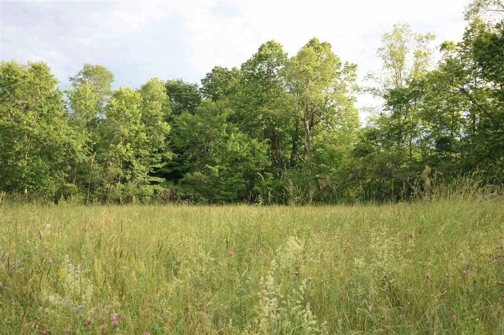 39 Carman Lane Manchester VT 05255