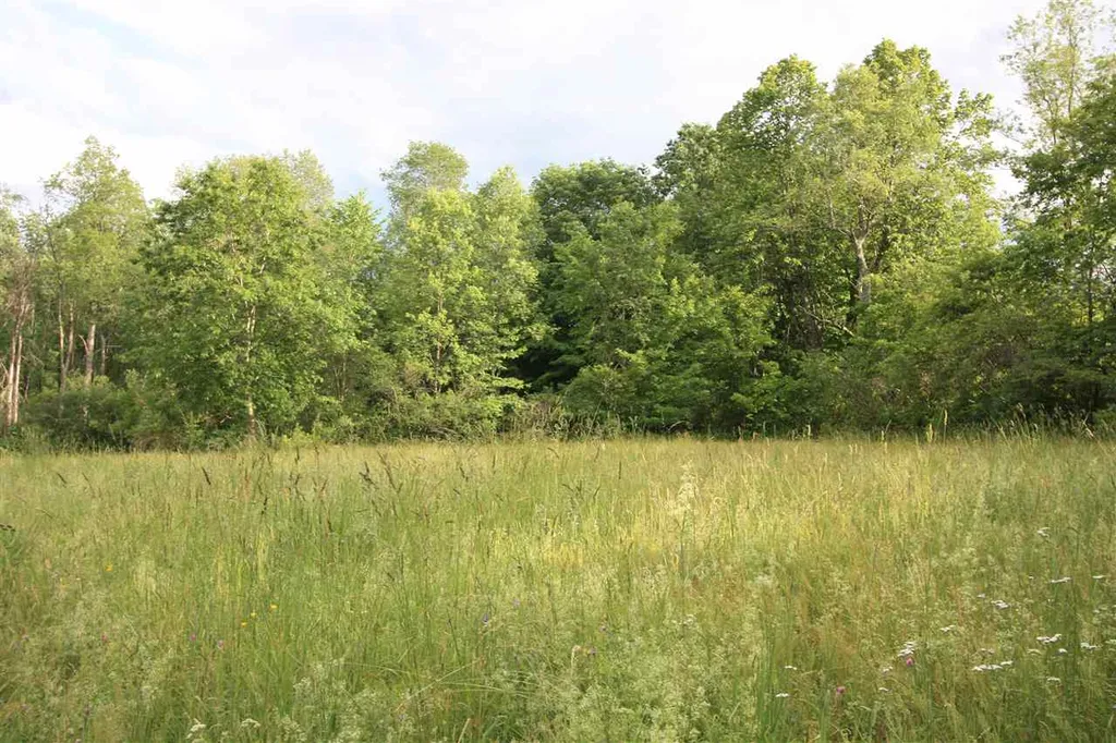 39 Carman Lane Manchester VT 05255