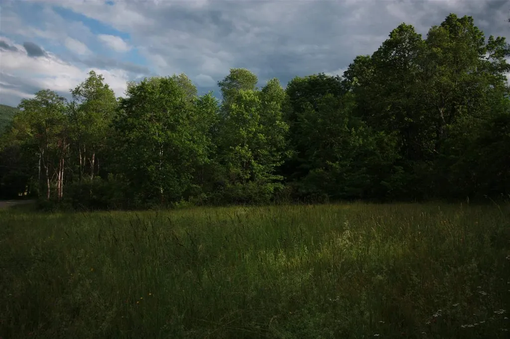 39 Carman Lane Manchester VT 05255