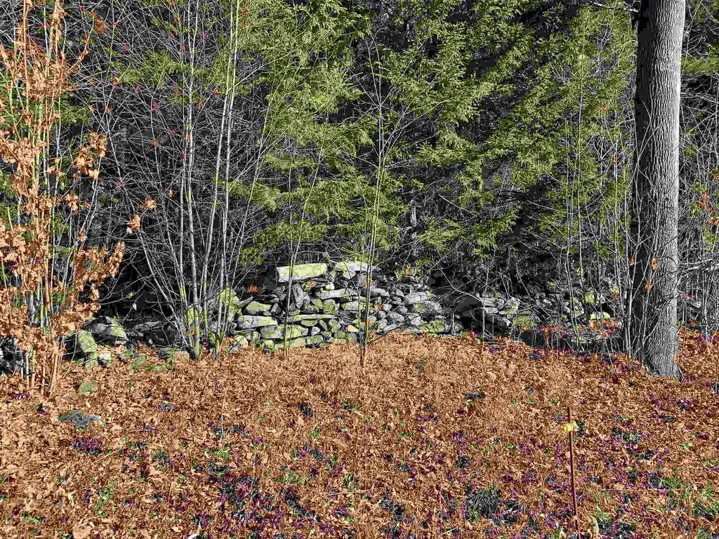 1372 Mount Hunger Road Barnard VT 05032