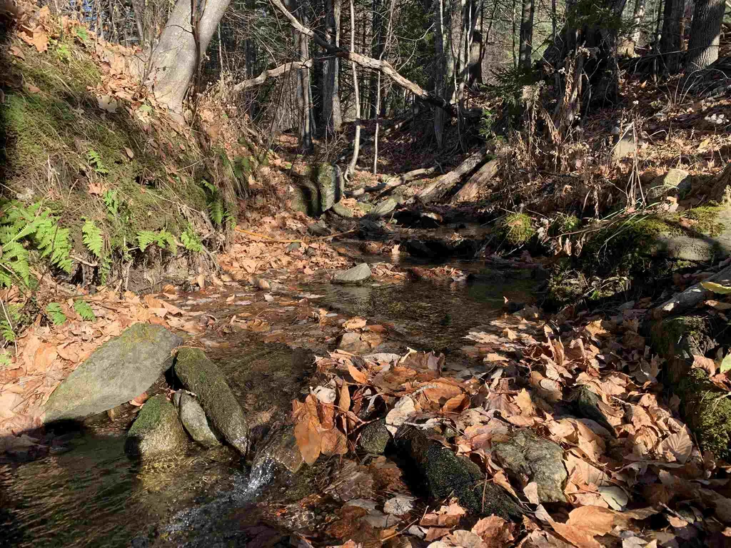 1372 Mount Hunger Road Barnard VT 05032