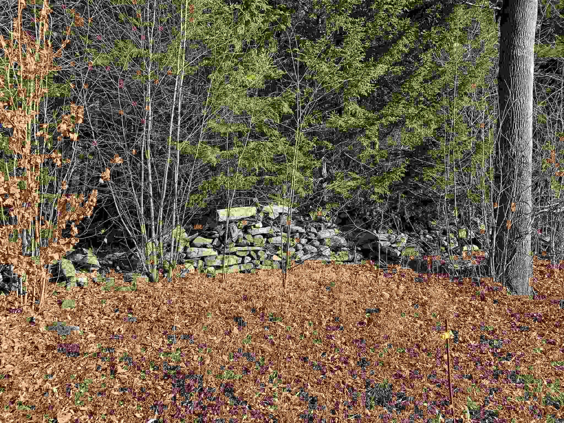 1372 Mount Hunger Road Barnard VT 05032