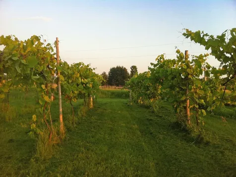 320 New Road Isle La Motte VT 05463