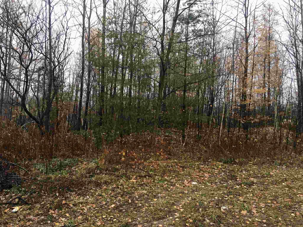 Burgess Road Bennington VT 05201