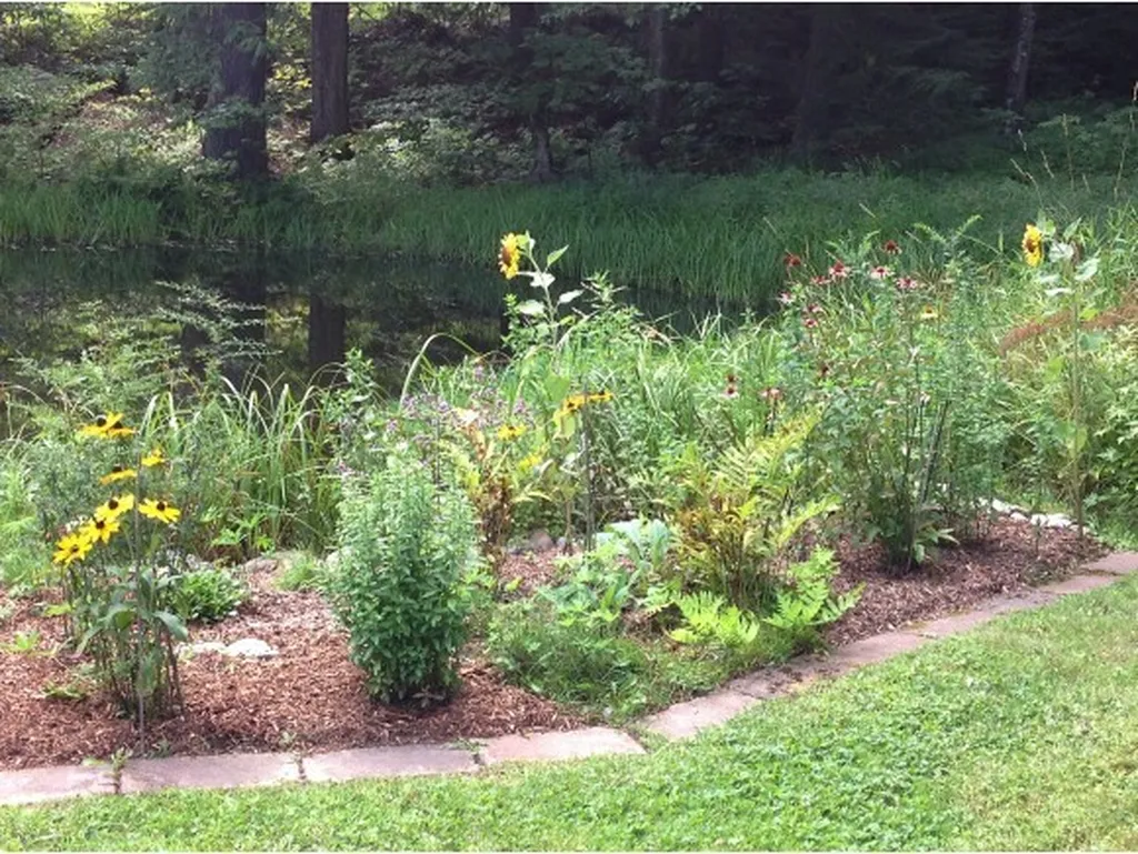 311 Hiddenwood Road Fayston VT 05673