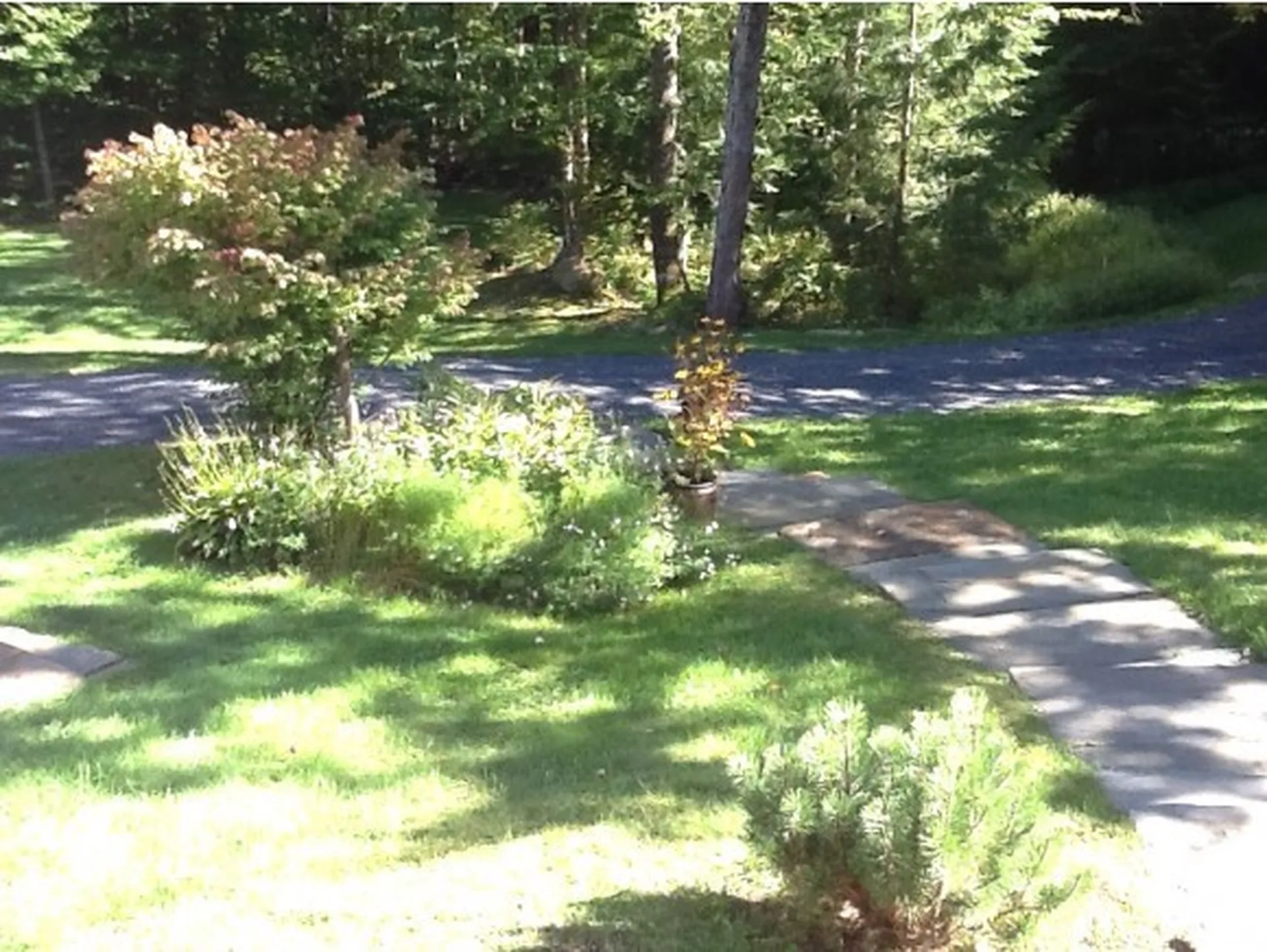 311 Hiddenwood Road Fayston VT 05673