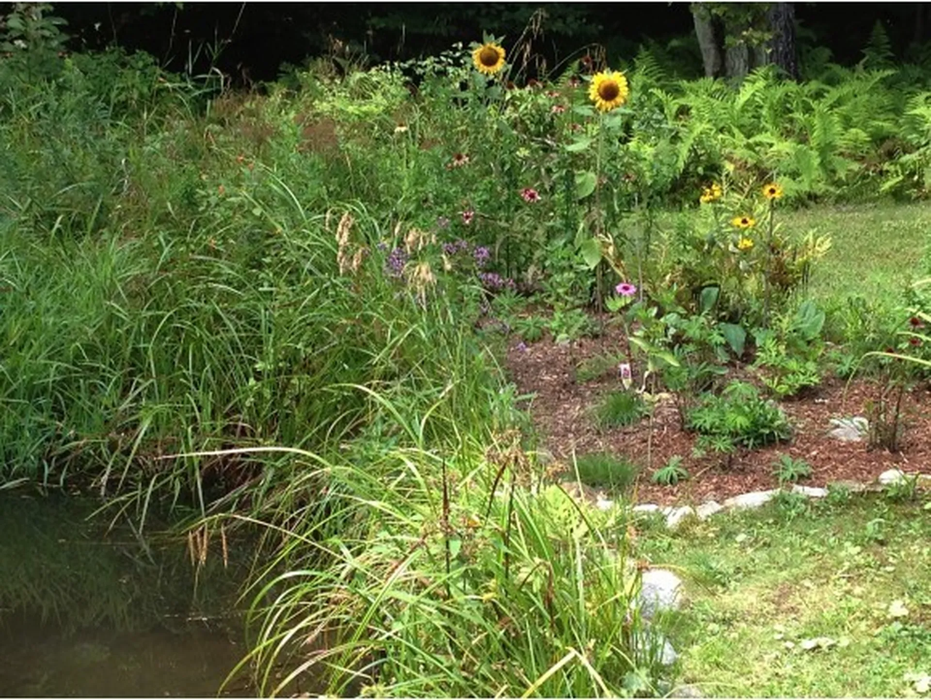 311 Hiddenwood Road Fayston VT 05673