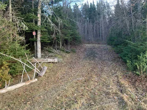 Lot 2 Creampoke Road Stewartstown NH 03576