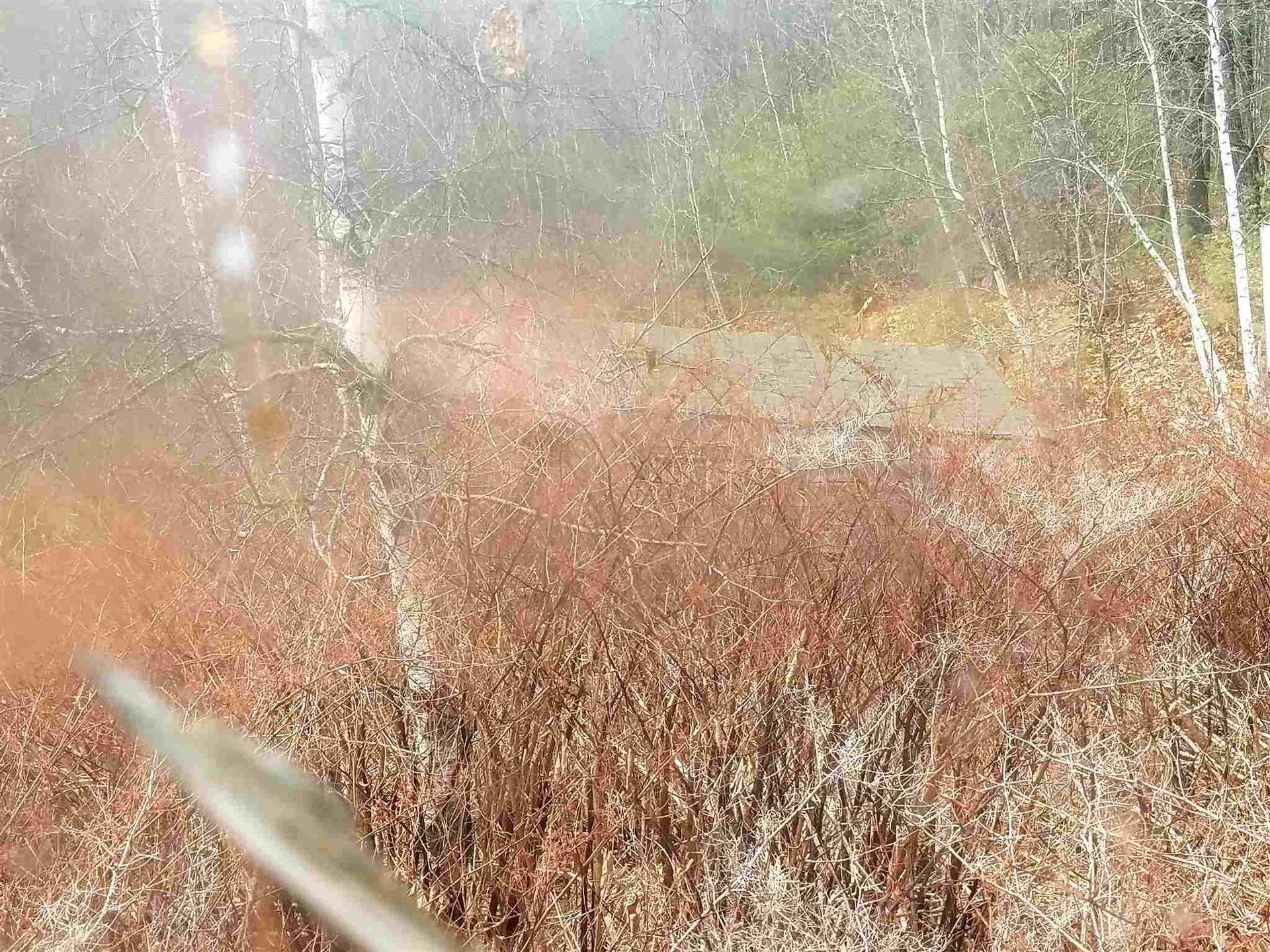 812 Meaderboro Road Farmington NH 03835