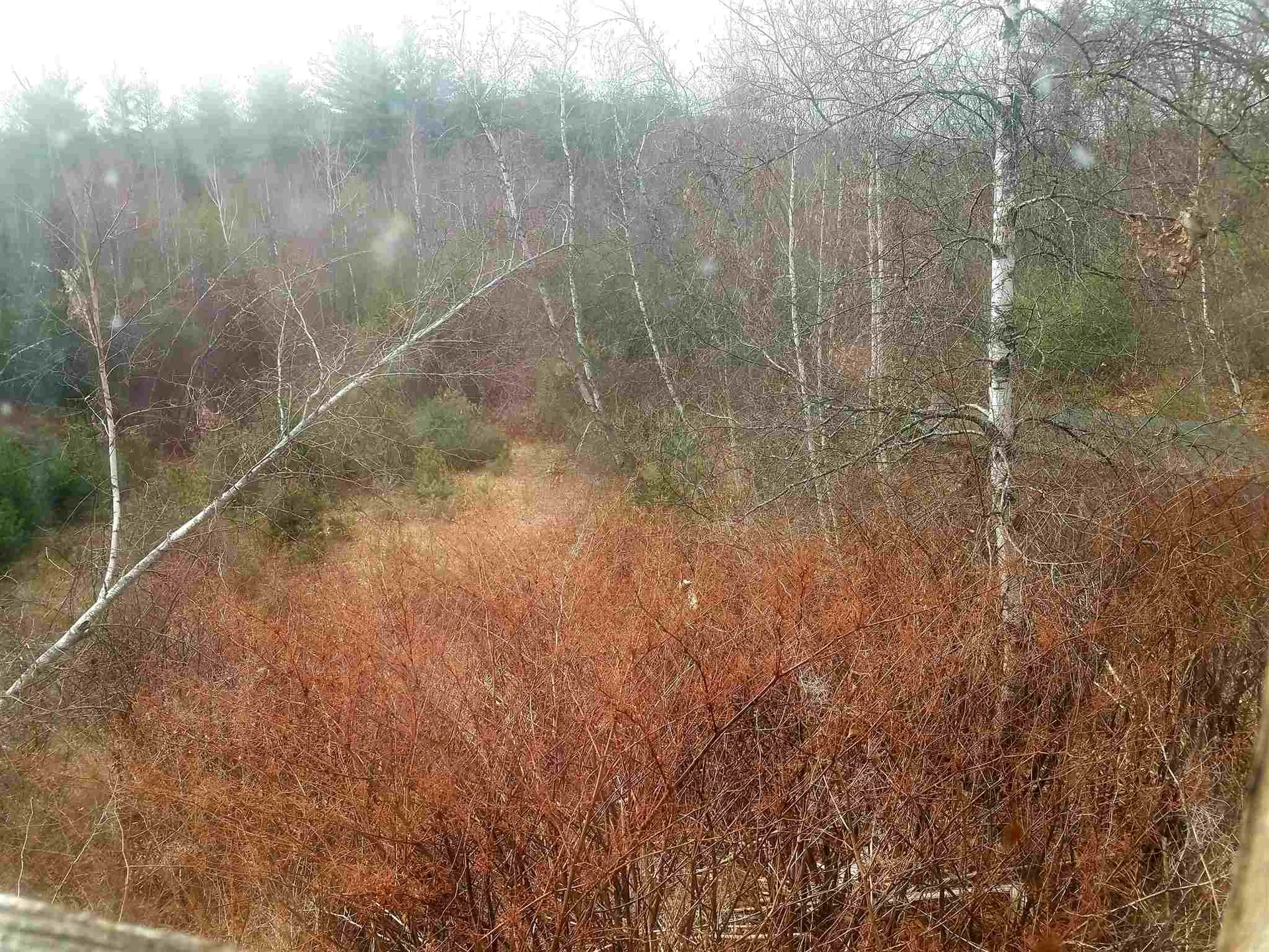 812 Meaderboro Road Farmington NH 03835