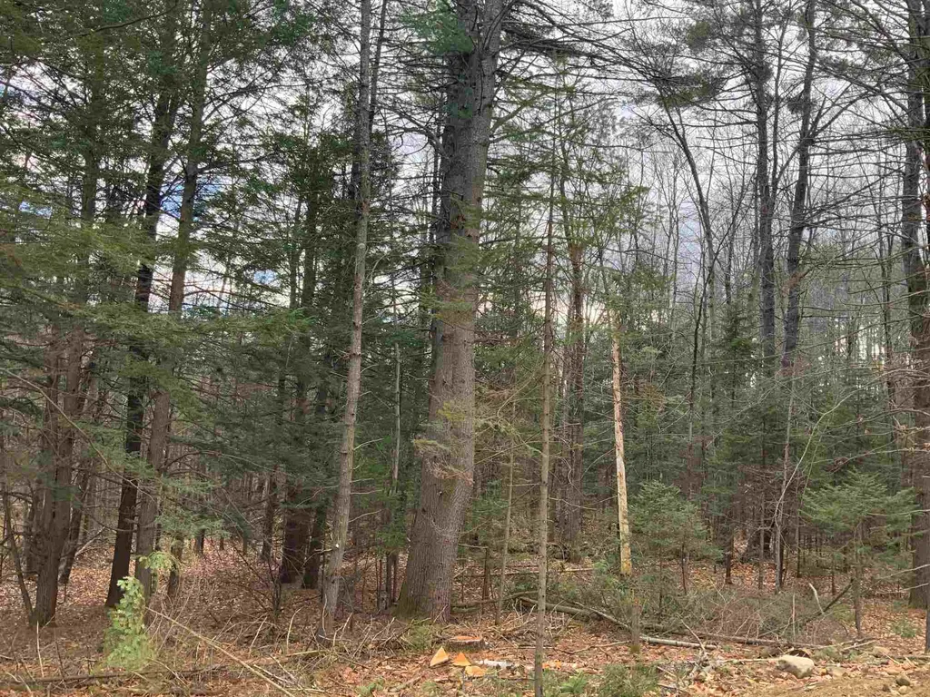 468 Berry Road New Durham NH 03855