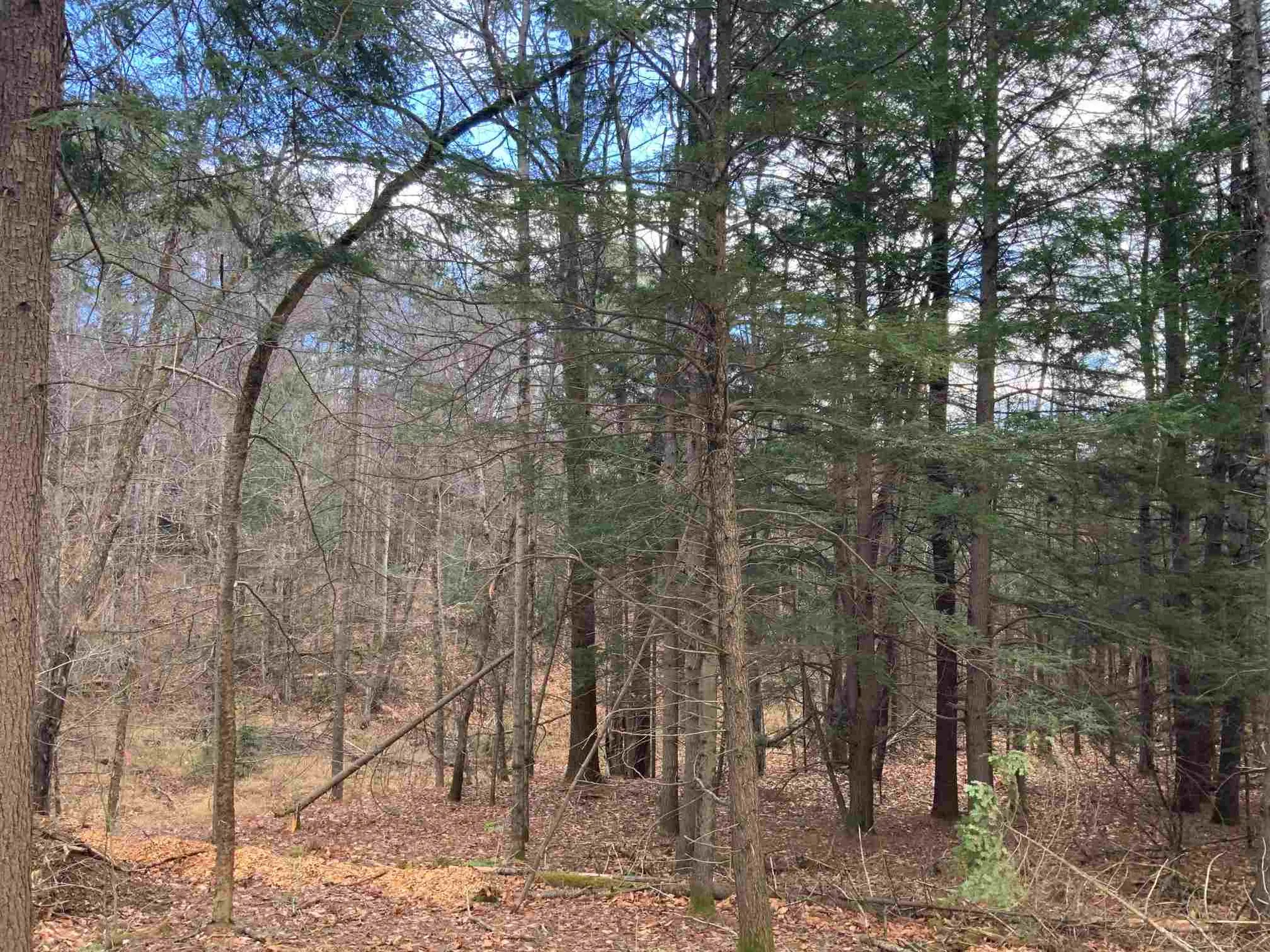 468 Berry Road New Durham NH 03855
