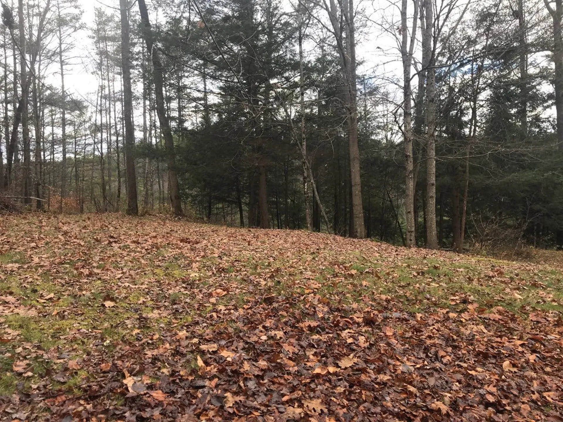 2531 Godfrey Road Thetford VT 05043