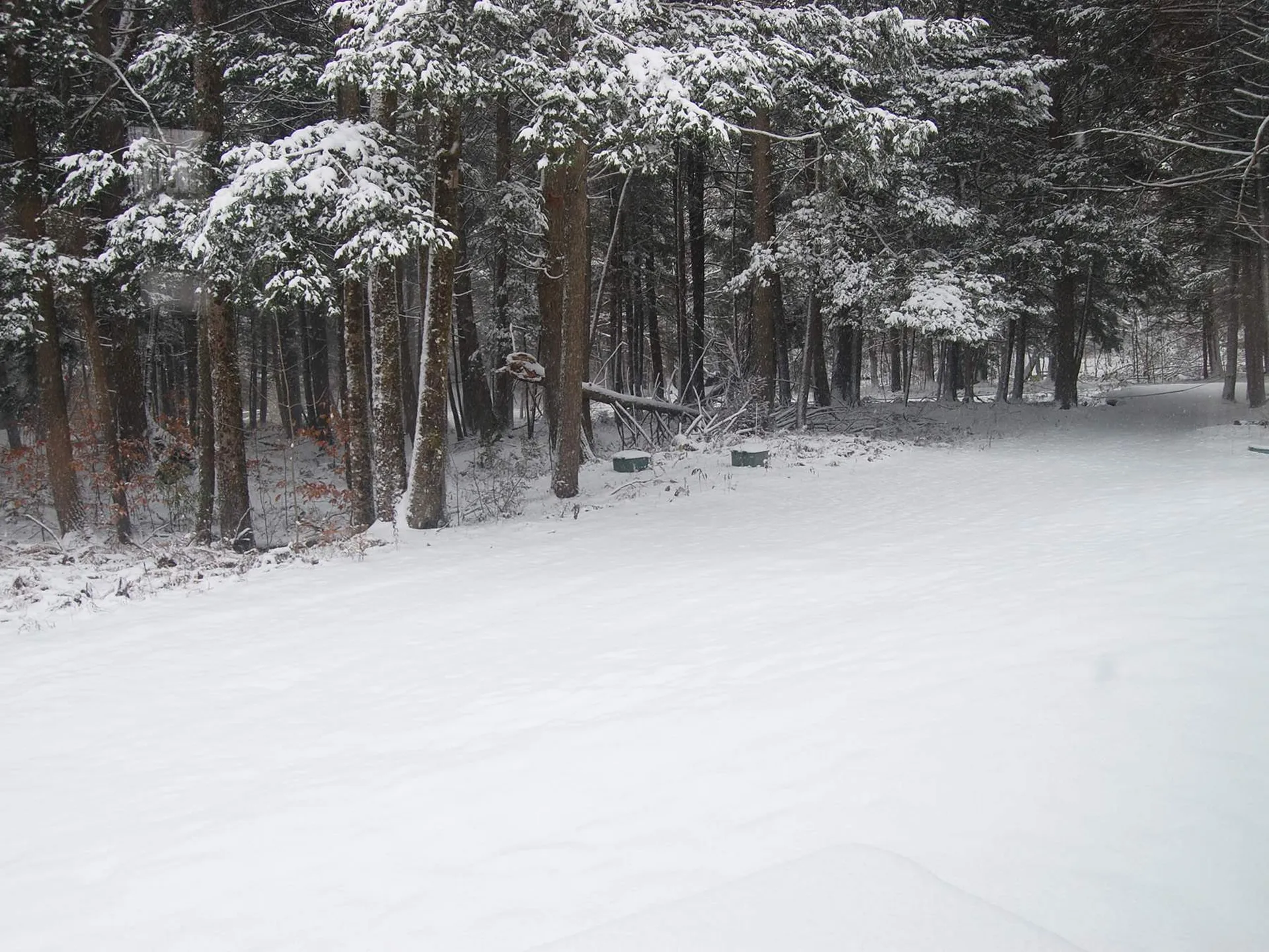 954 Butternut Hill Road Waitsfield VT 05673