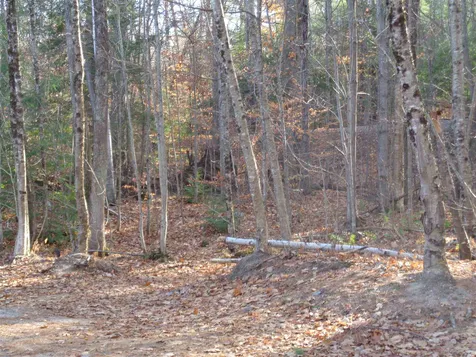 169 Winona Shores Road Meredith NH 03253