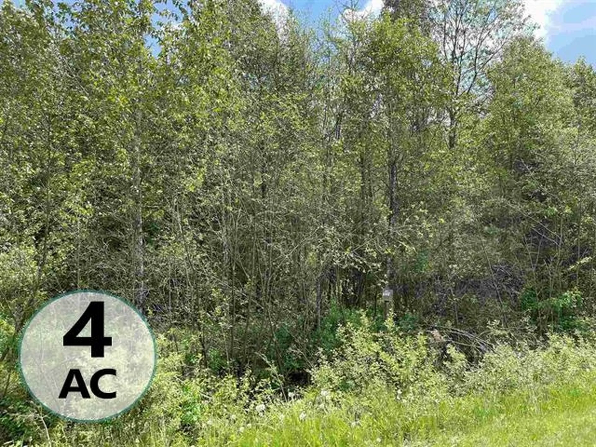 Lot #4 Waterford Hollow Lane Waterford VT 05819