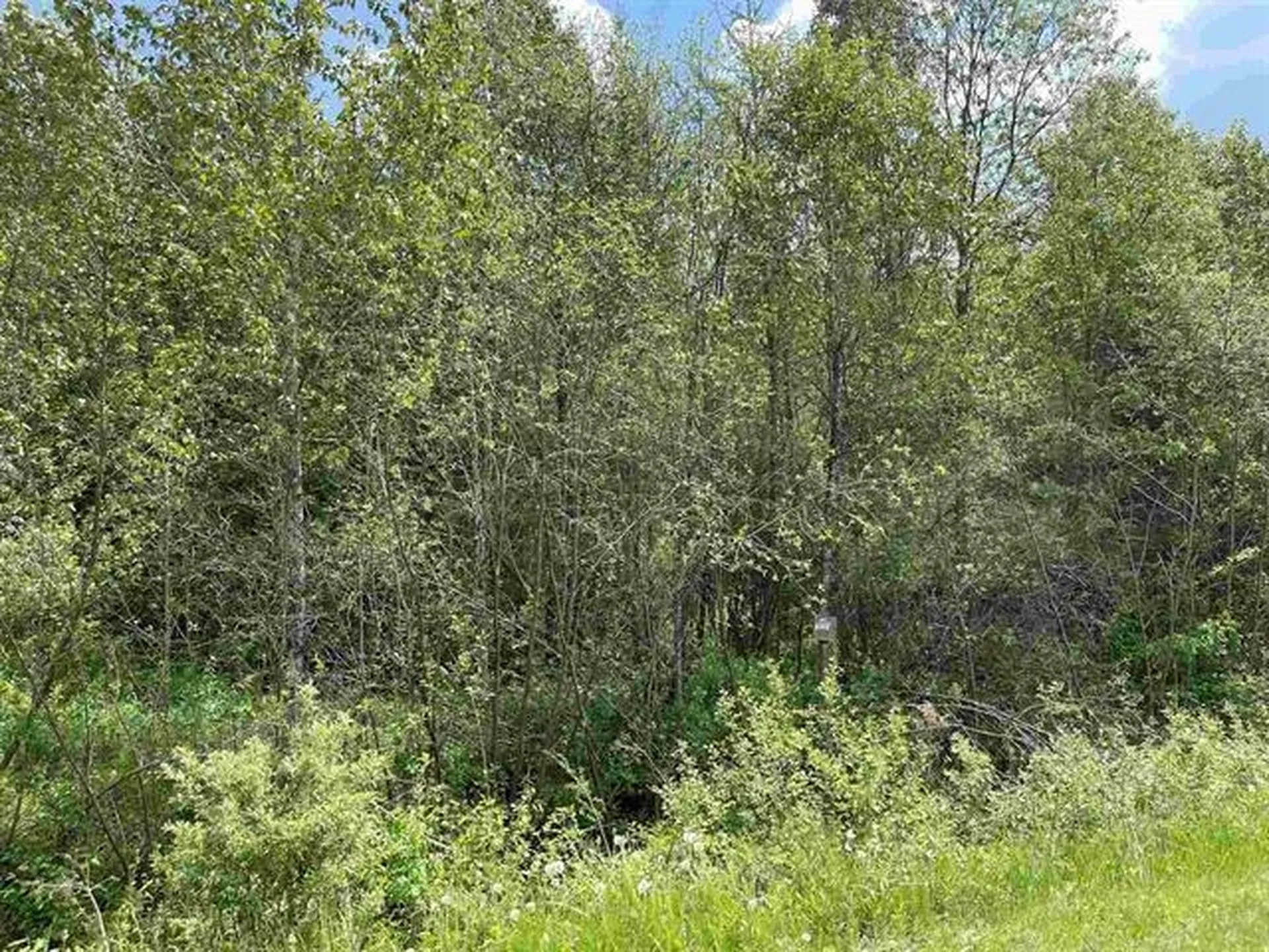 Lot #4 Waterford Hollow Lane Waterford VT 05819