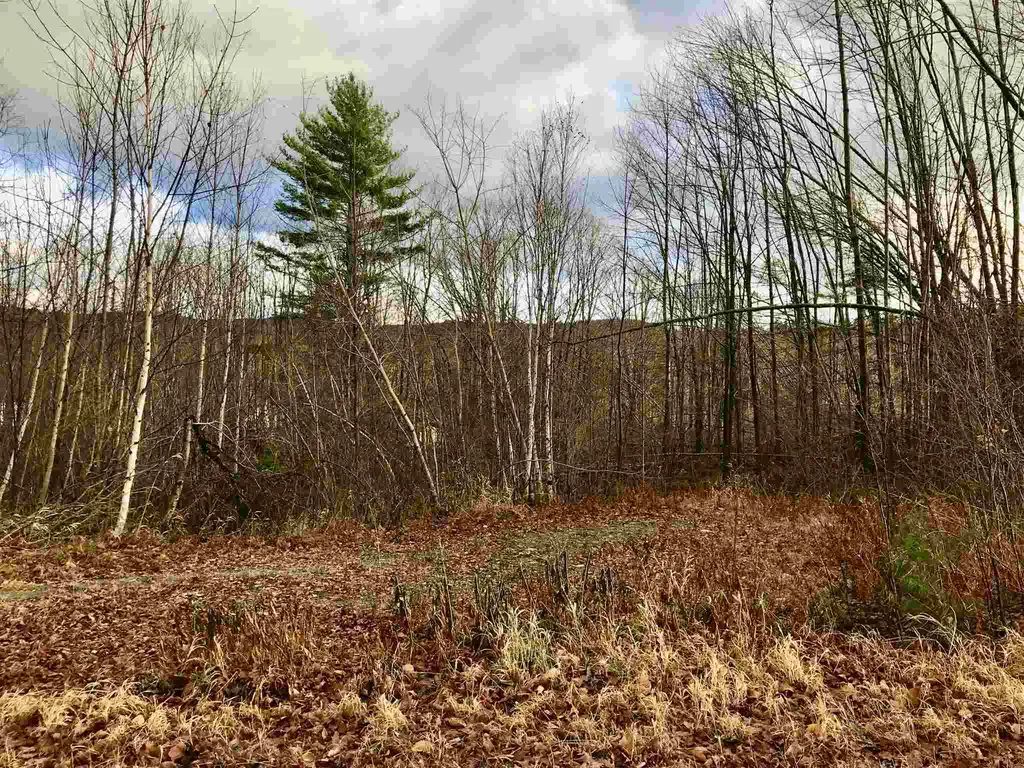 00 Glebe Mountain Road Windham VT 05359