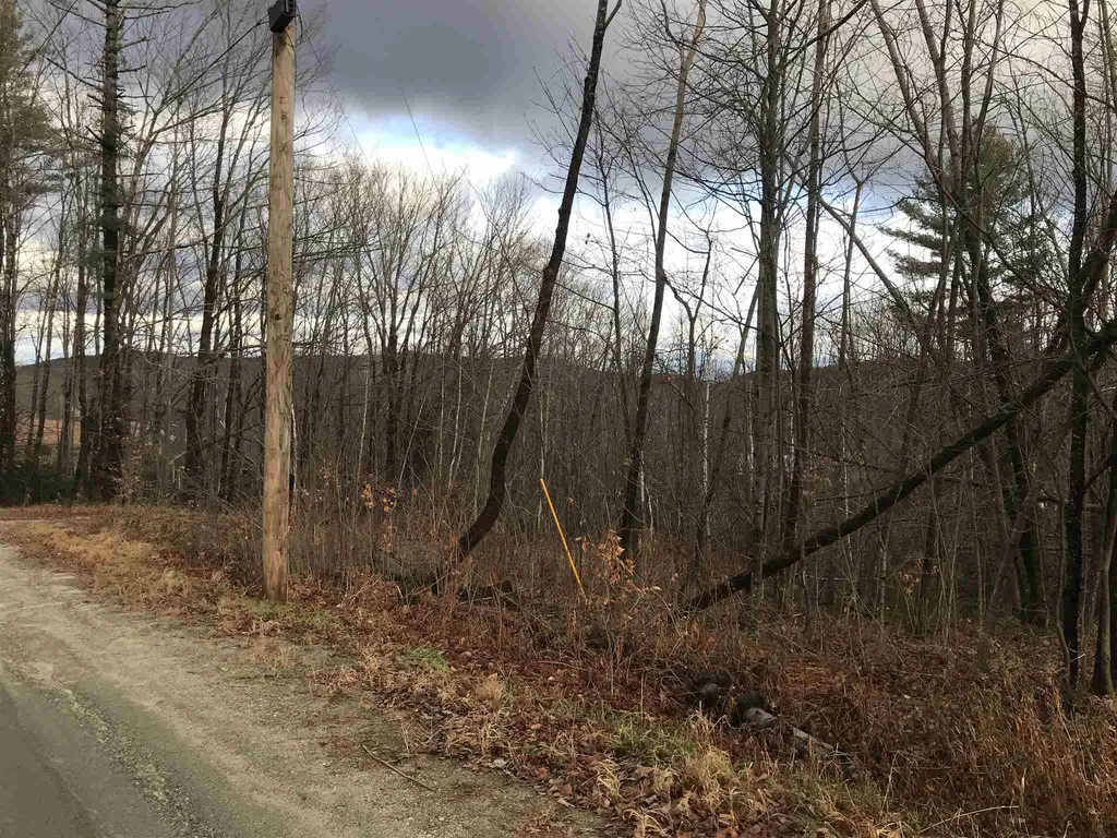00 Glebe Mountain Road Windham VT 05359