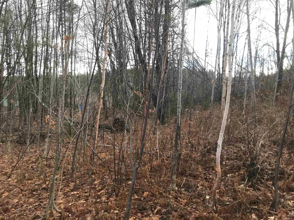 00 Glebe Mountain Road Windham VT 05359
