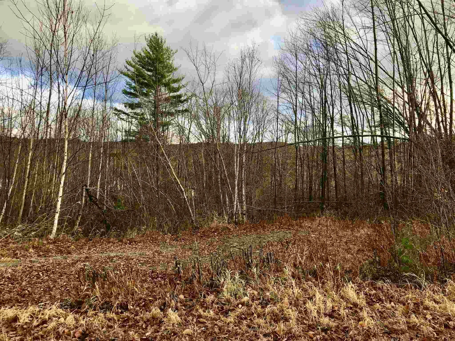 00 Glebe Mountain Road Windham VT 05359