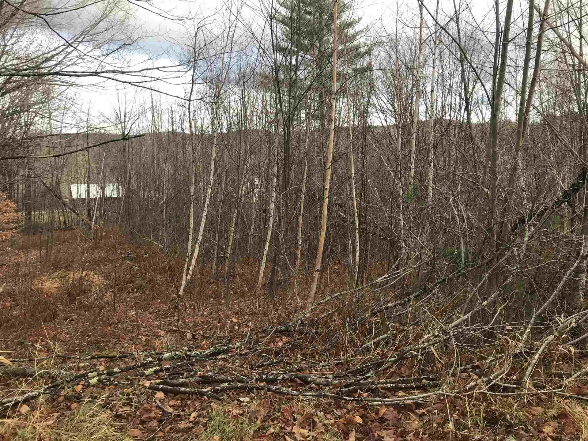 00 Glebe Mountain Road Windham VT 05359