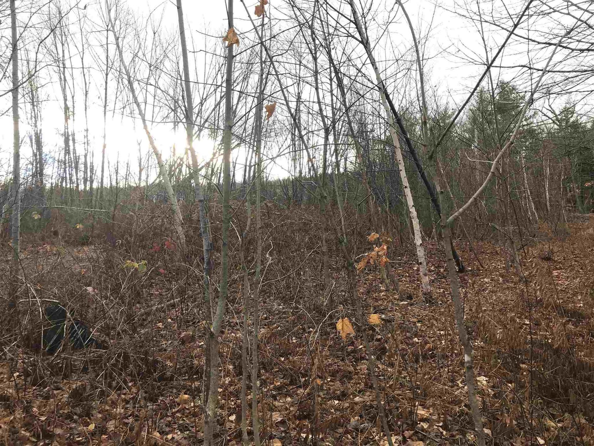 00 Glebe Mountain Road Windham VT 05359