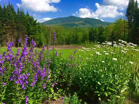 287 Walker Road Burke VT 05832