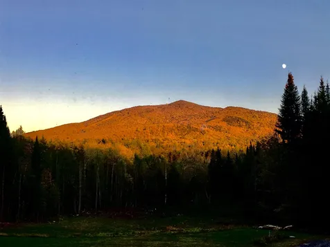 287 Walker Road Burke VT 05832