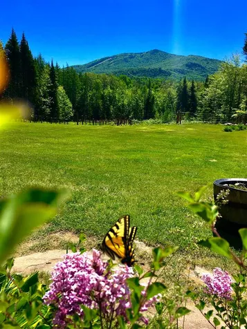 287 Walker Road Burke VT 05832