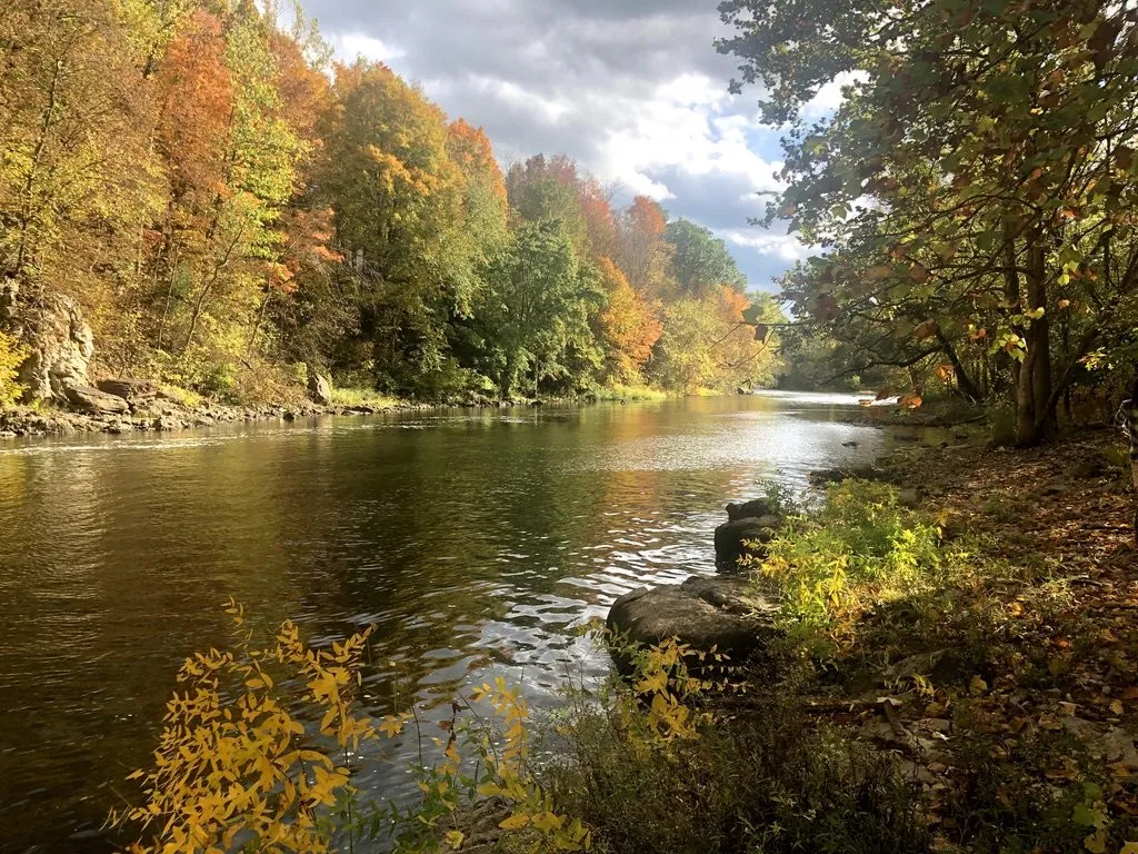 1896 Quaker Village Road Weybridge VT 05753
