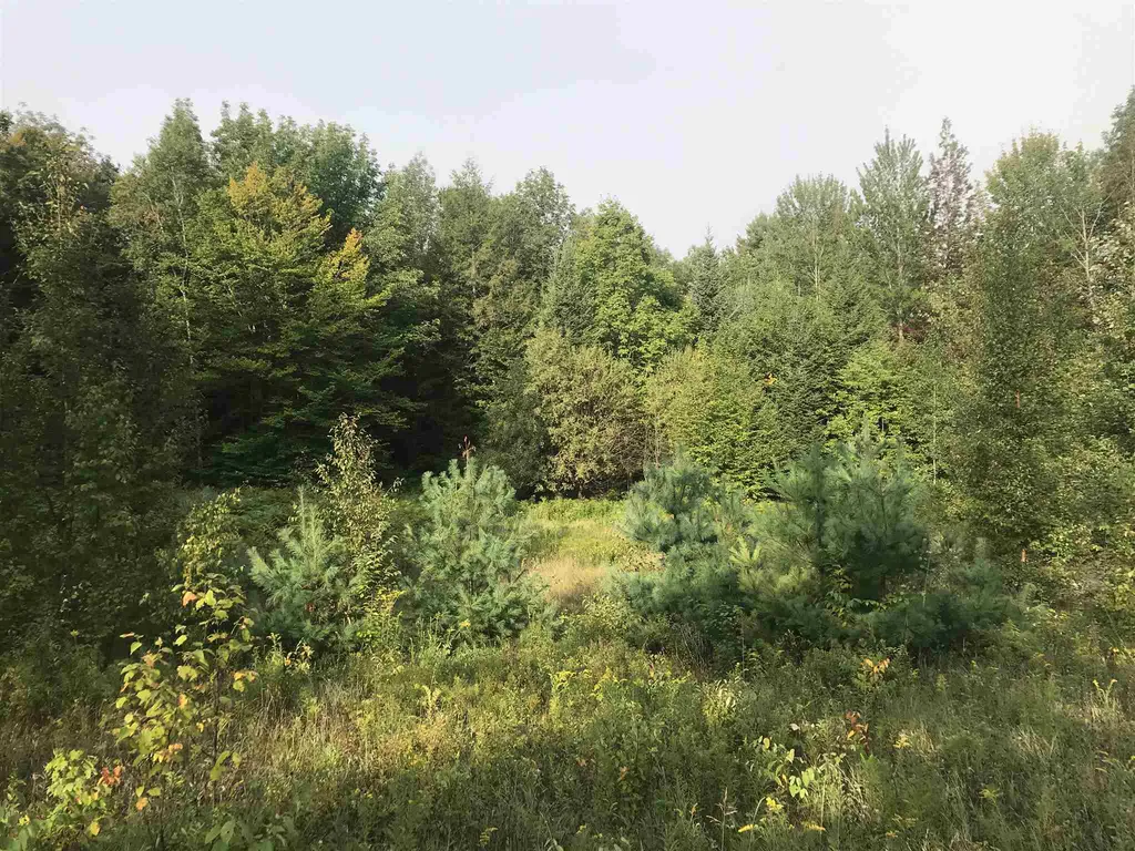 00 Youngs Road East Haven VT 05837