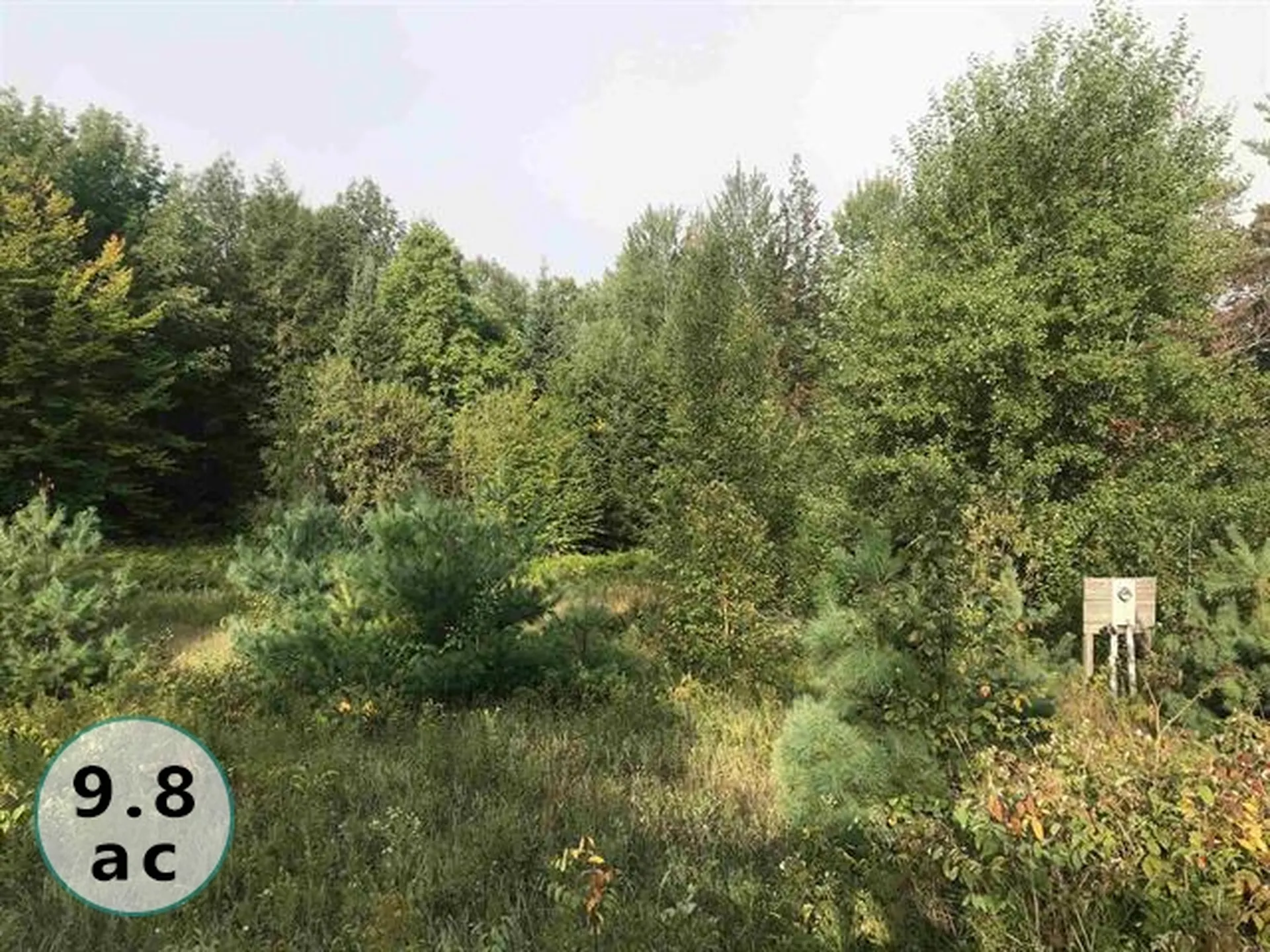 00 Youngs Road East Haven VT 05837