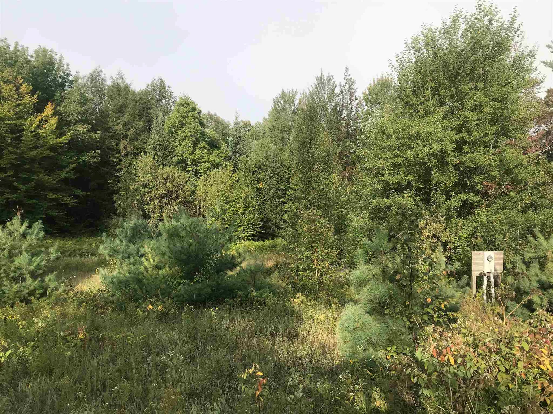 00 Youngs Road East Haven VT 05837