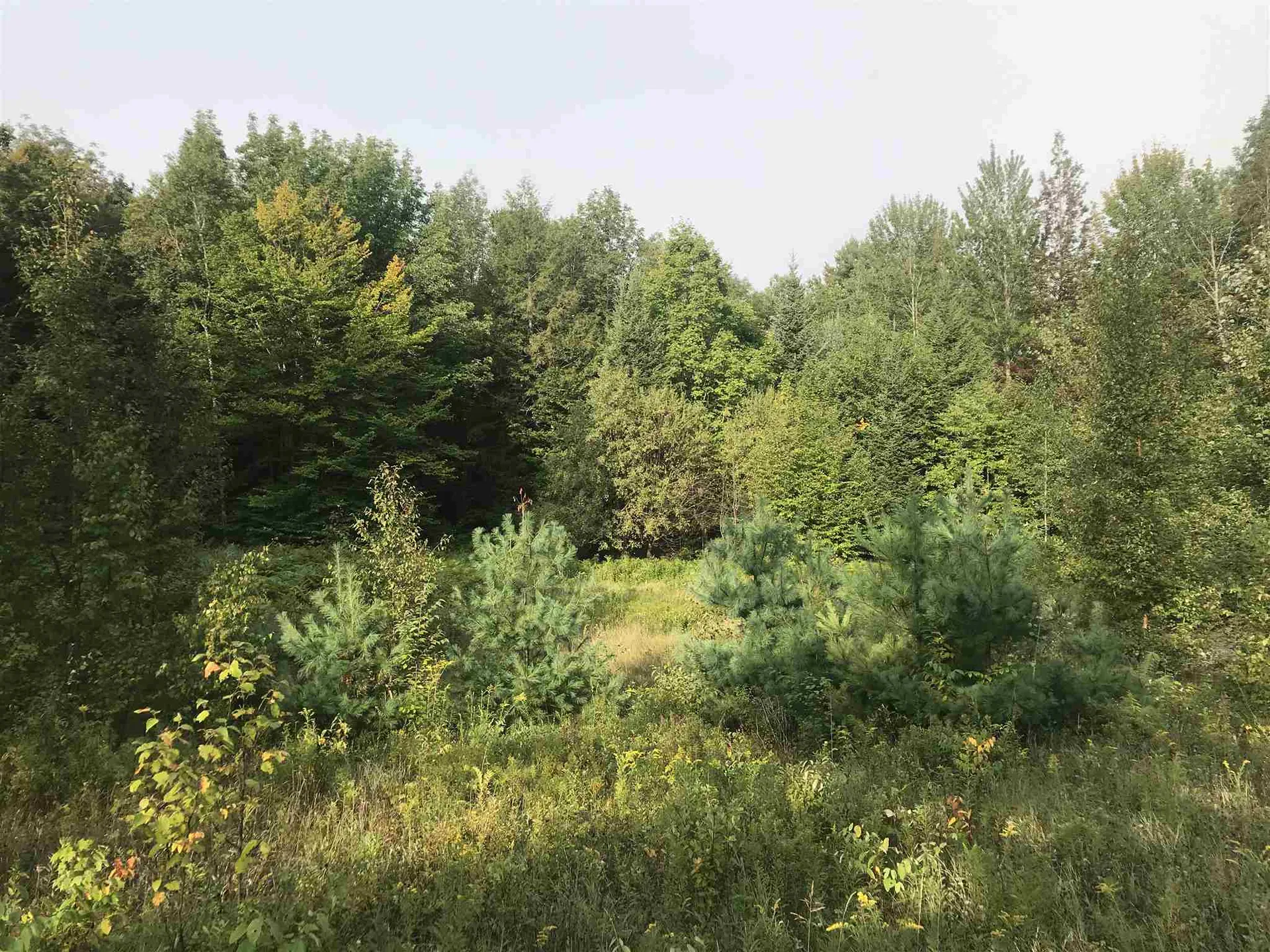 00 Youngs Road East Haven VT 05837