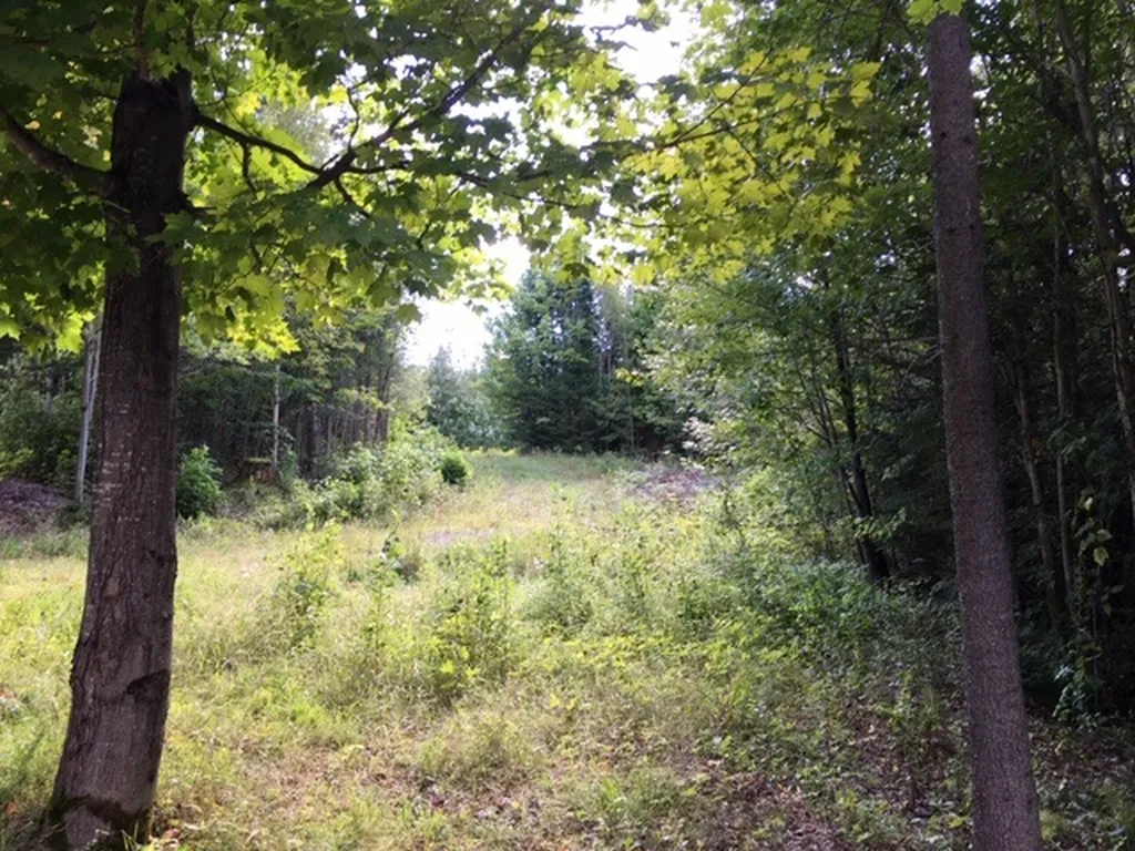 Lot 35 Reservoir Road Colebrook NH 03576