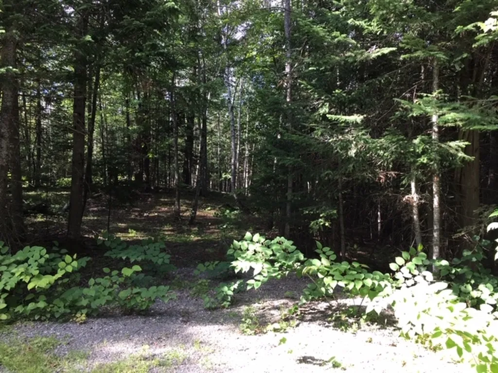 Lot 35 Reservoir Road Colebrook NH 03576