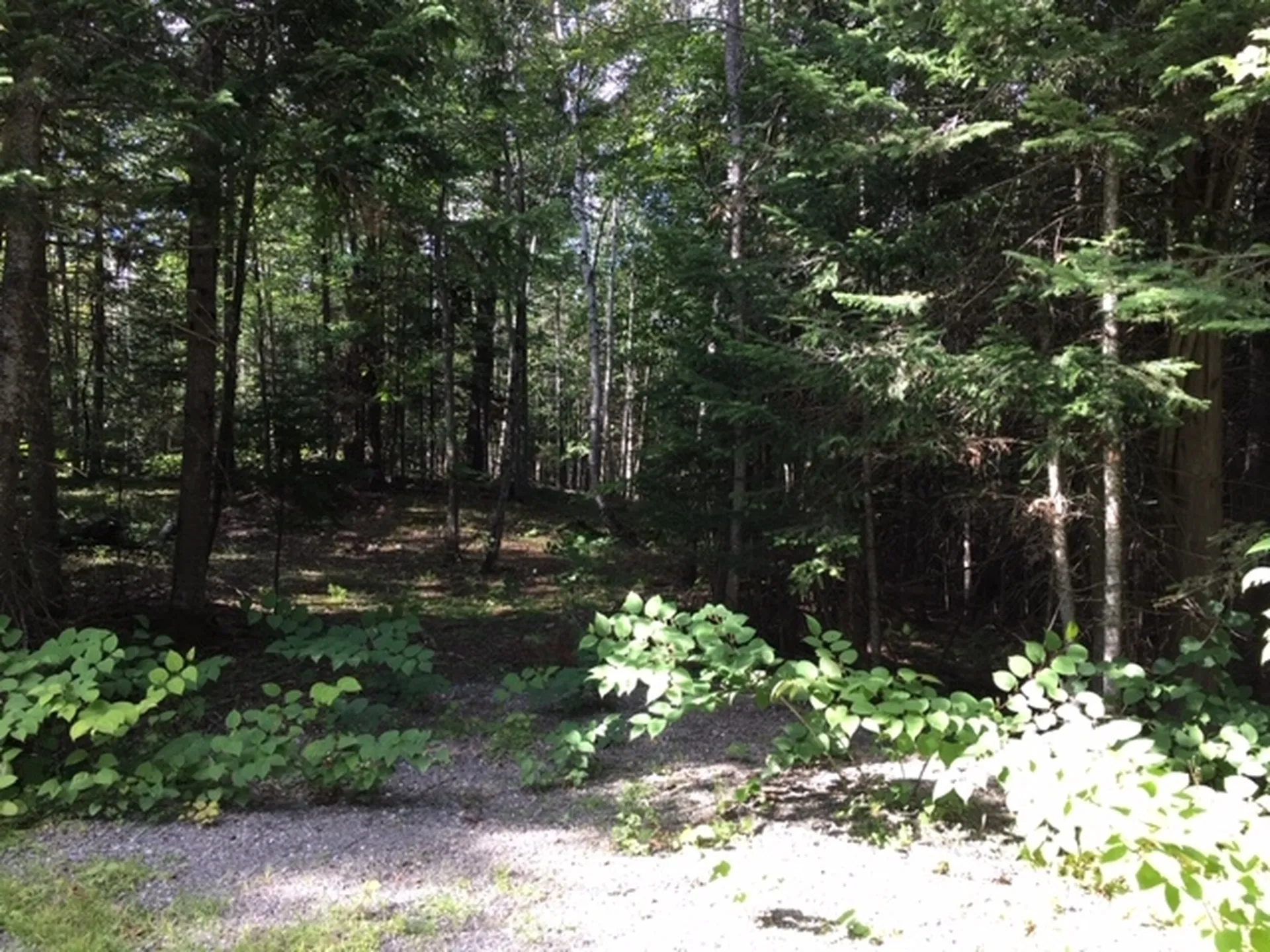 Lot 35 Reservoir Road Colebrook NH 03576